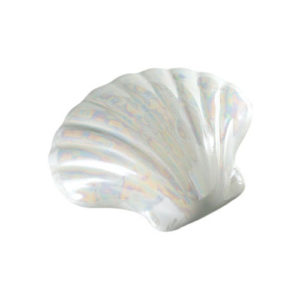 Clam Shell