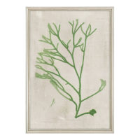 seaweed artwork